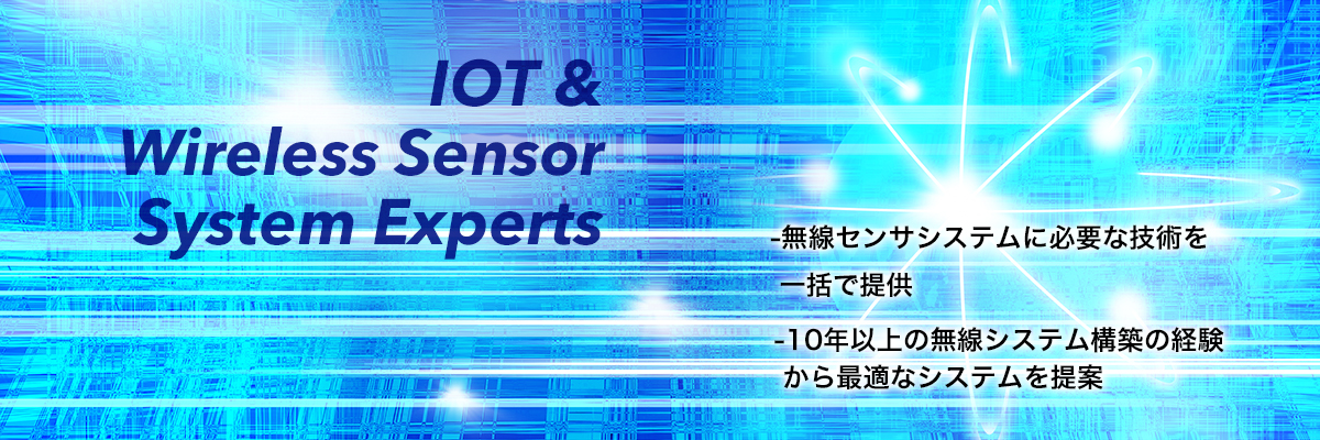 IoT & Wireless Sensor System